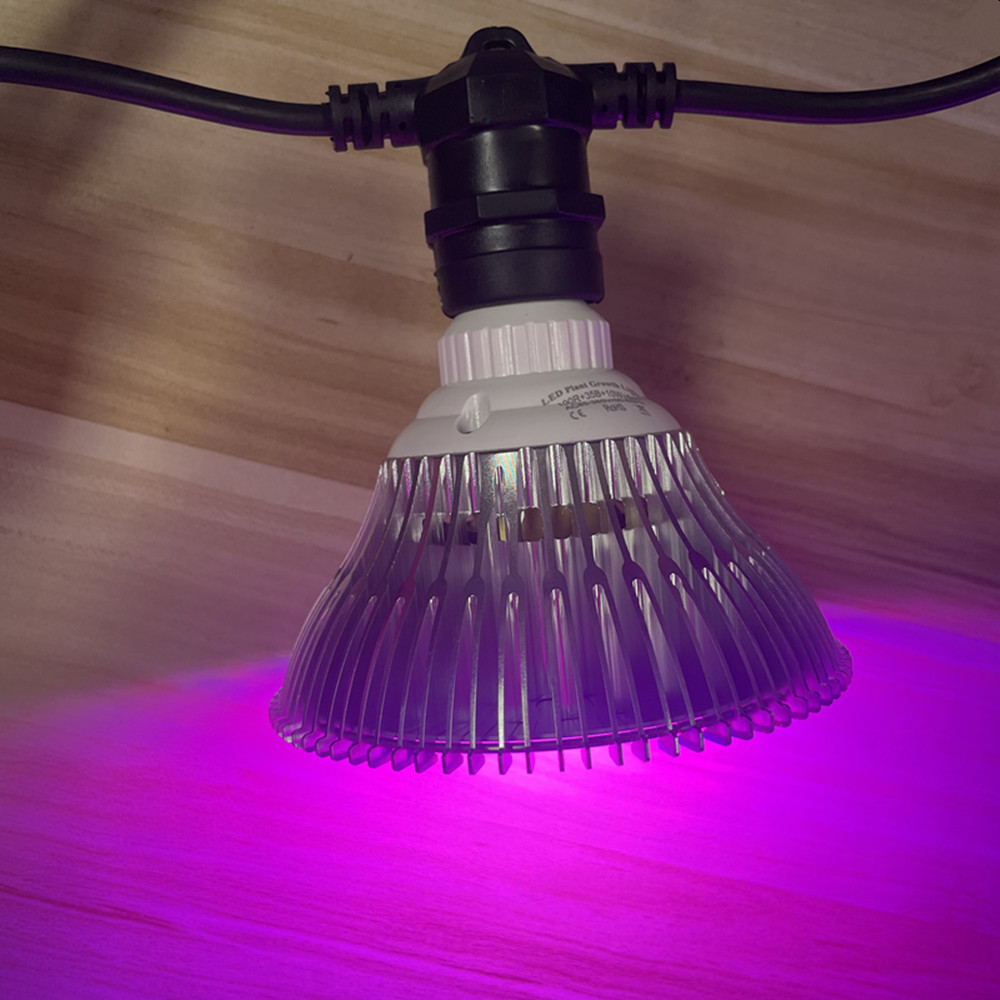 Cavo LED da 10 m, impermeabile - Outdoor Lighting Extension Cord recensione e prezzo