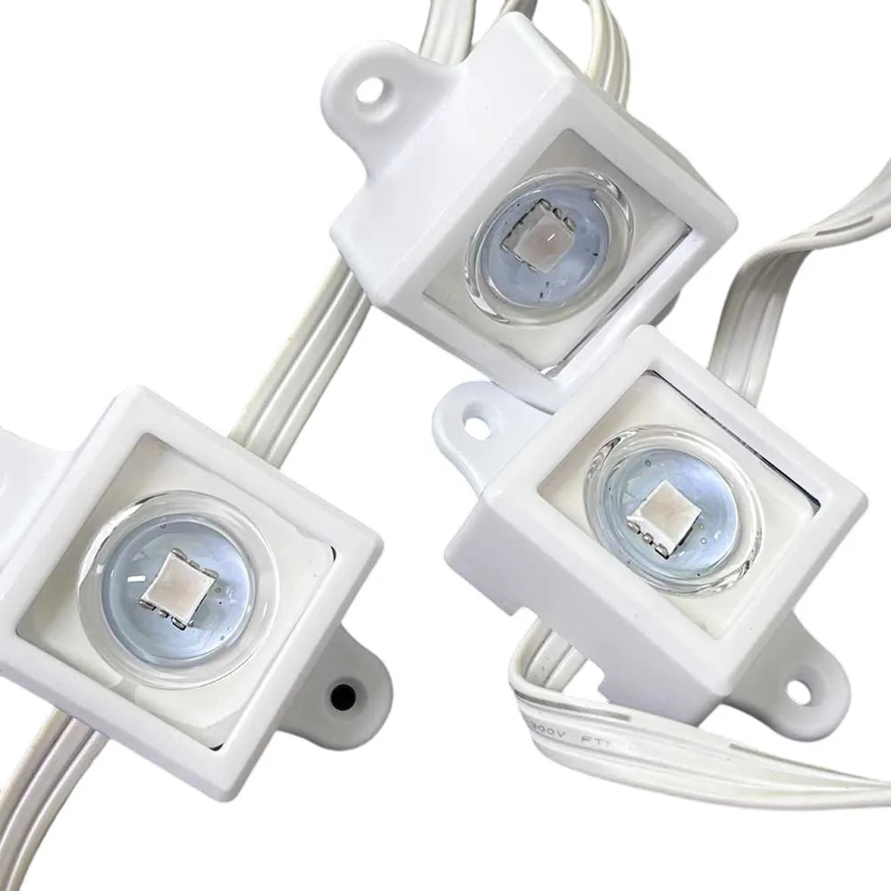 40/80 clip per luci da festiva - Outdoor Lighting Govee recensione e prezzo